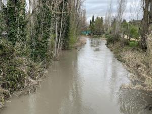 Ocho Alcaldes de la ribera del Río Tajuña exigen respuestas y acciones a la Confederación Hidrográfica del Tajo